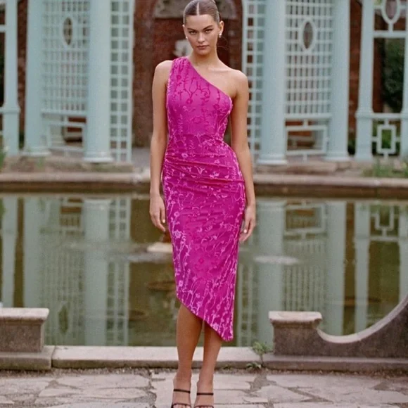 Anthropologie HUTCH One Shoulder Ruched Velvet Flocked Midi Dress Pink Size L - Picture 2 of 14